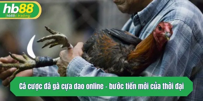 Cá cược đá gà cựa dao online - bước tiến mới của thời đại