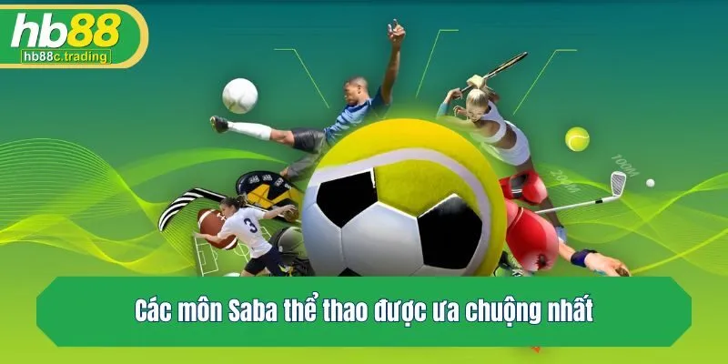 Các môn thể thao được ưa chuộng nhất tại Saba