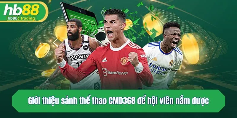 Giới thiệu sảnh thể thao CMD368 để hội viên nắm được