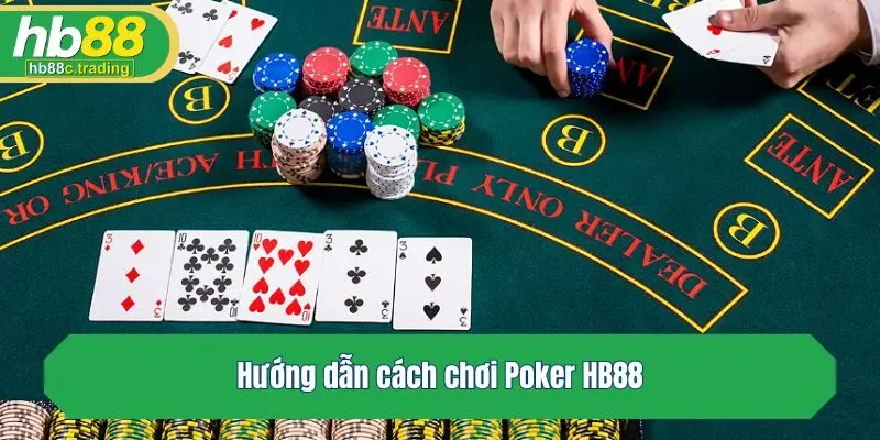 Hướng dẫn cách chơi