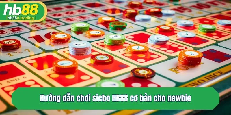 Hướng dẫn chơi sicbo HB88 cơ bản cho newbie