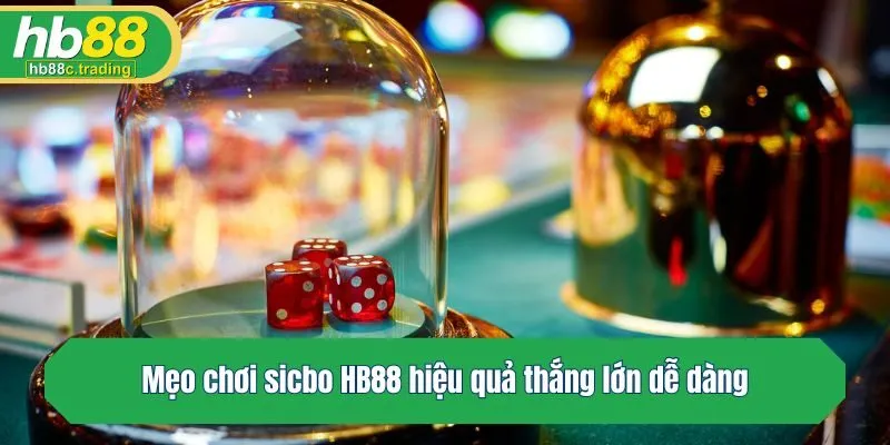 Mẹo chơi sicbo HB88 hiệu quả thắng lớn dễ dàng