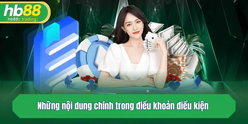 Những nội dung chính trong điều khoản điều kiện 