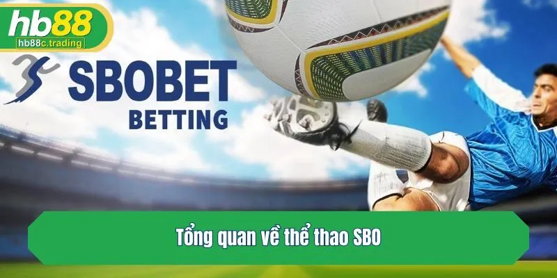 Tổng quan về thể thao SBO