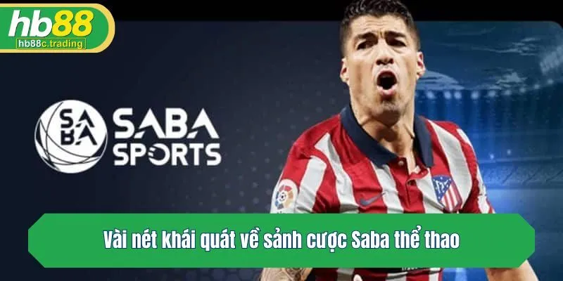 Vài nét khái quát về sảnh cược Saba thể thao